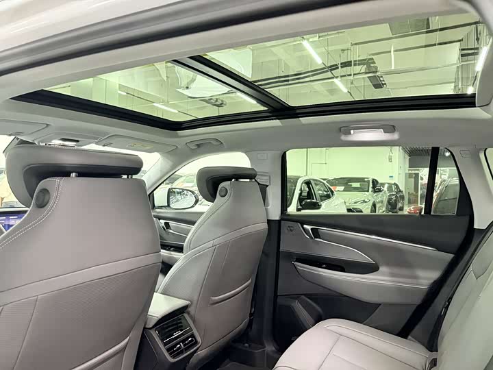 Фото 10 - Buick Electra E5