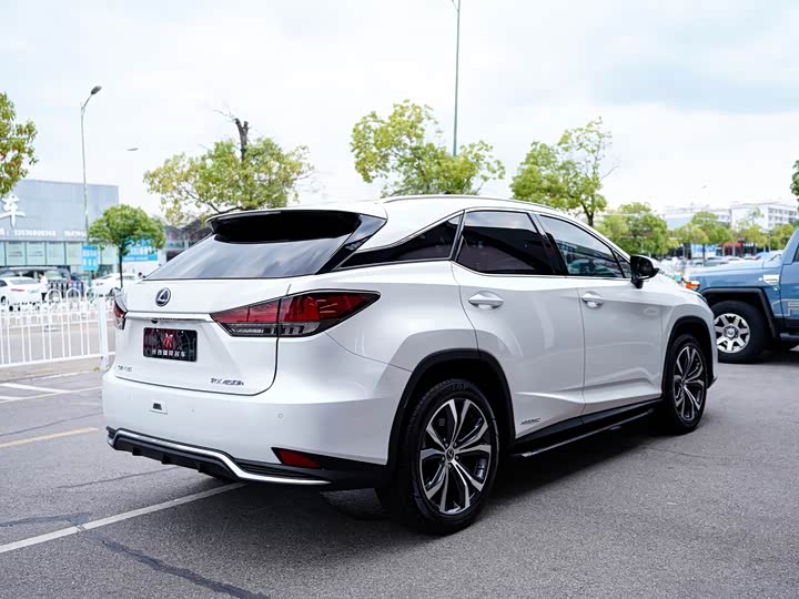 Фото 10 - Lexus RX