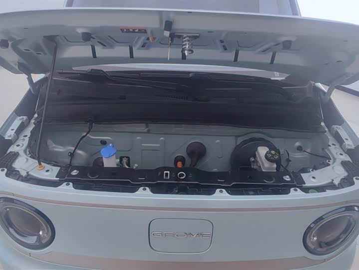 Фото 10 - Geely Galaxy Panda Mini