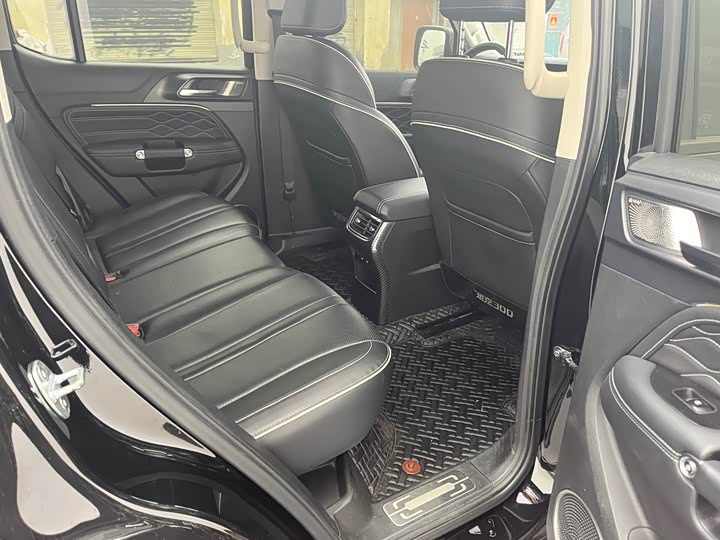 Фото 19 - Tank 300