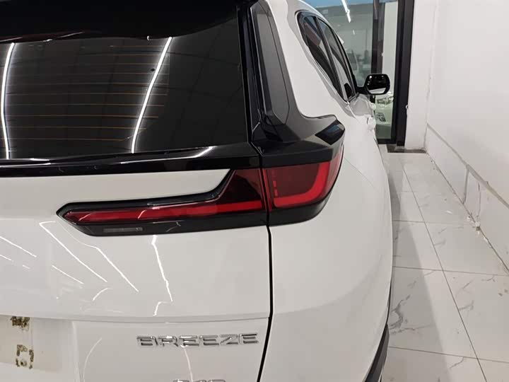 Фото 8 - Honda Breeze