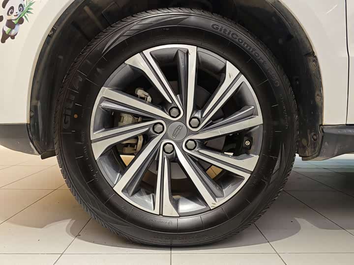 Фото 5 - Geely Vision X6