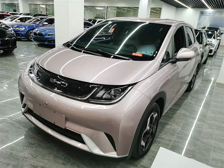 Фото 1 - BYD Dolphin