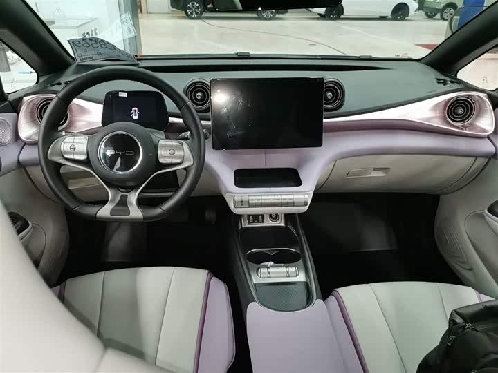 Фото 10 - BYD Dolphin