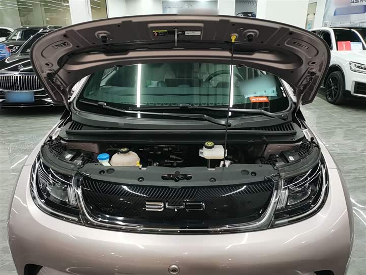 Фото 20 - BYD Dolphin