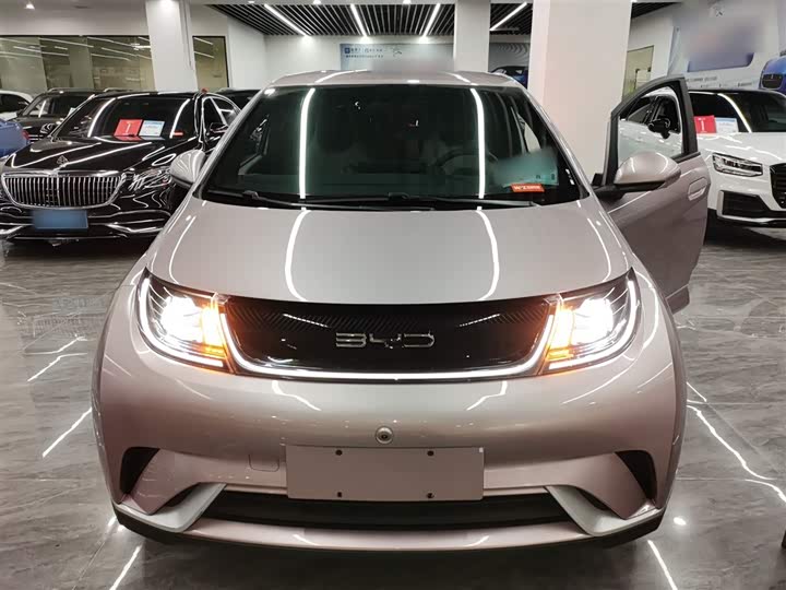 Фото 3 - BYD Dolphin