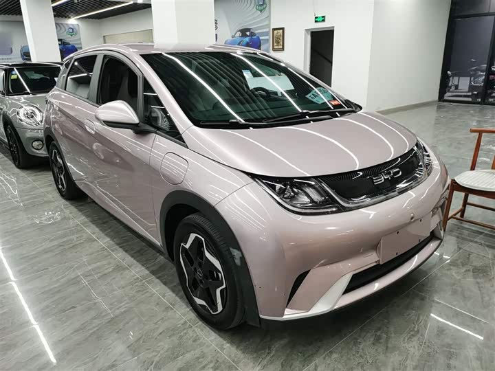 Фото 4 - BYD Dolphin