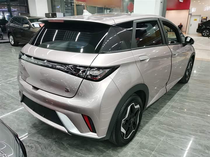 Фото 7 - BYD Dolphin