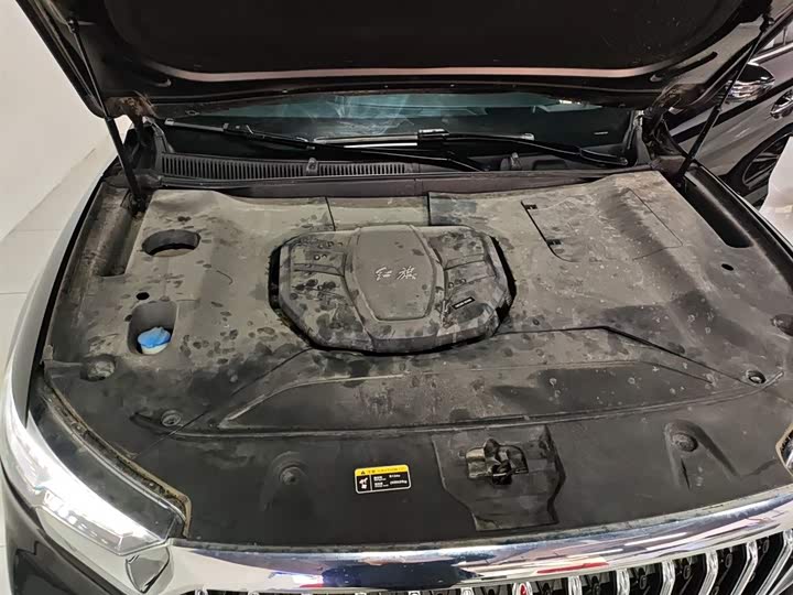 Фото 20 - Hongqi HS5