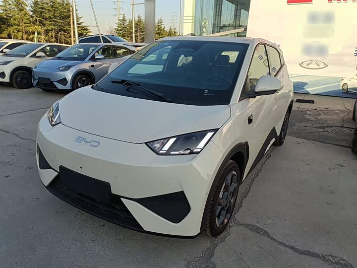 Фото 1 - BYD Seagull