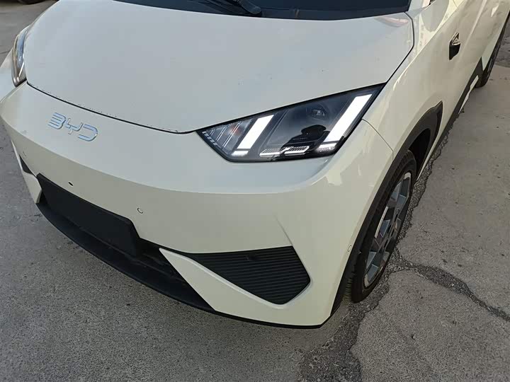 Фото 24 - BYD Seagull