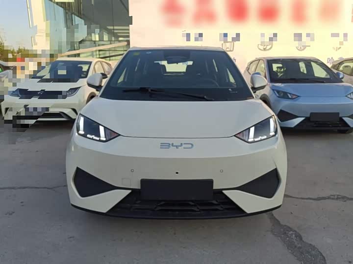 Фото 3 - BYD Seagull