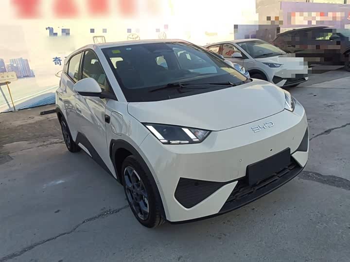 Фото 4 - BYD Seagull