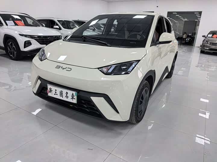 Фото 1 - BYD Seagull