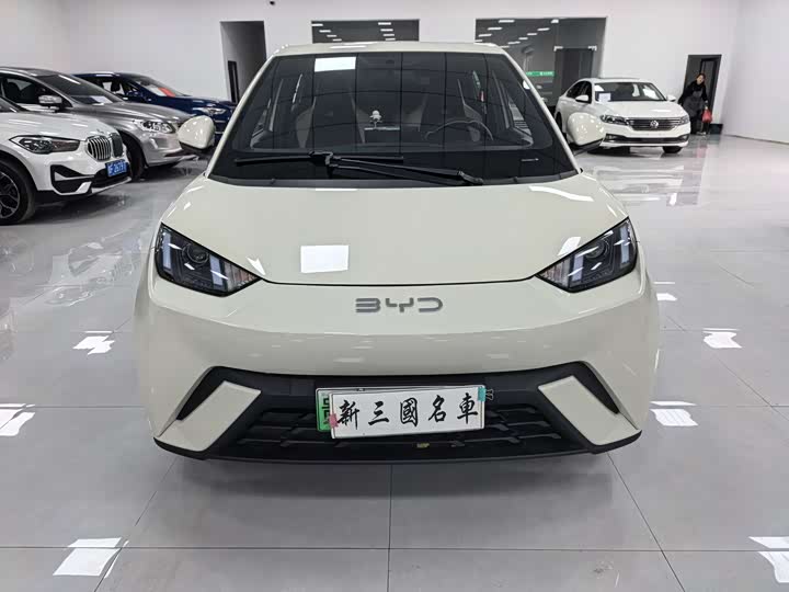 Фото 2 - BYD Seagull