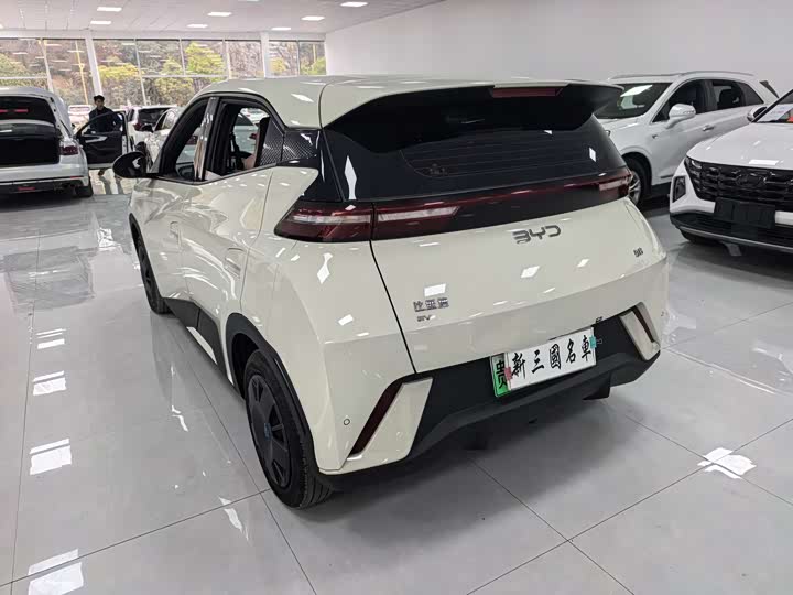 Фото 21 - BYD Seagull