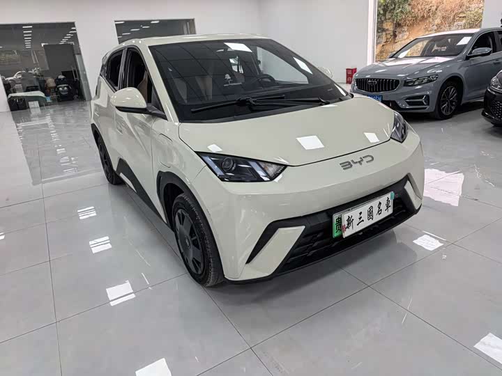 Фото 3 - BYD Seagull