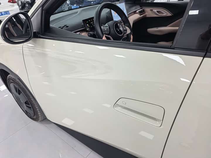 Фото 4 - BYD Seagull