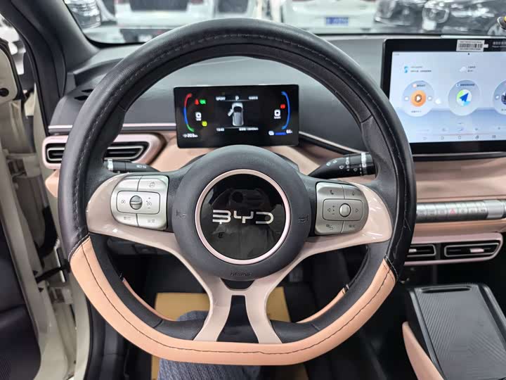 Фото 7 - BYD Seagull