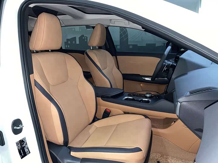 Фото 11 - Lexus RZ