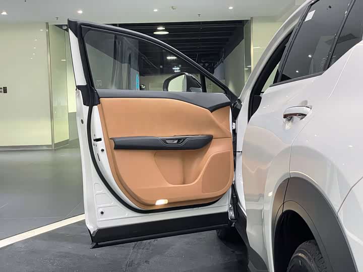 Фото 12 - Lexus RZ