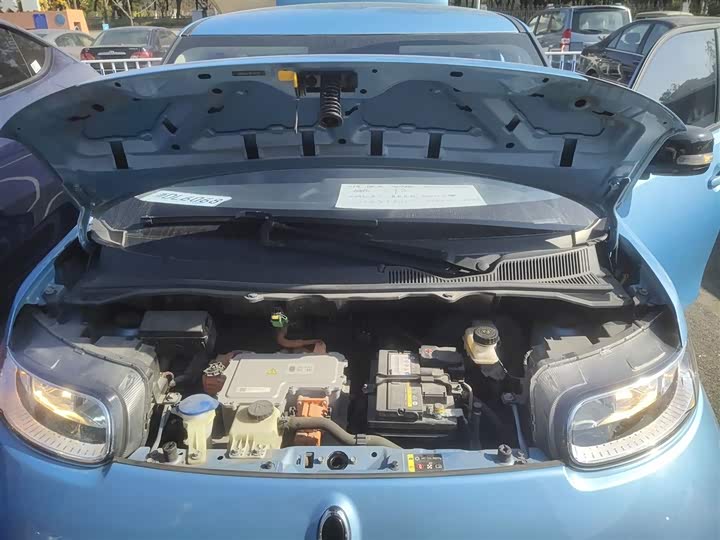 Фото 20 - Ora White Cat