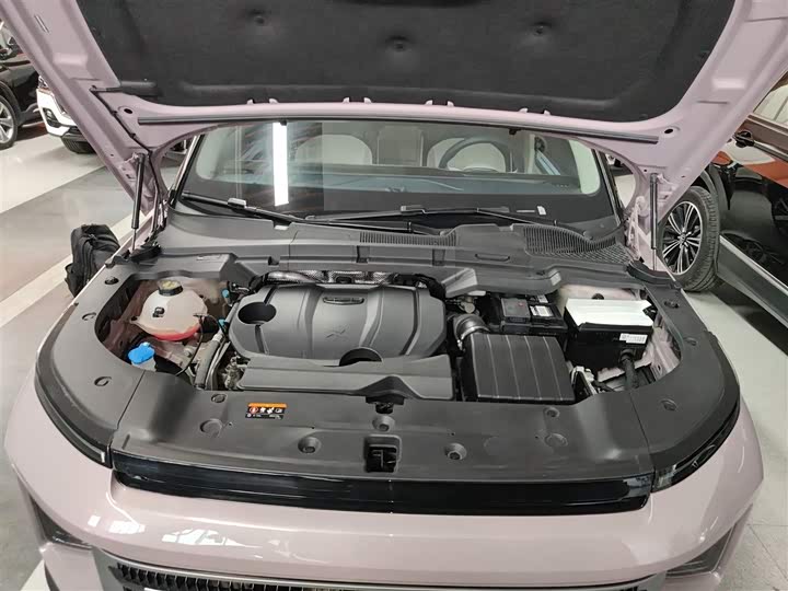 Фото 20 - Geely Icon