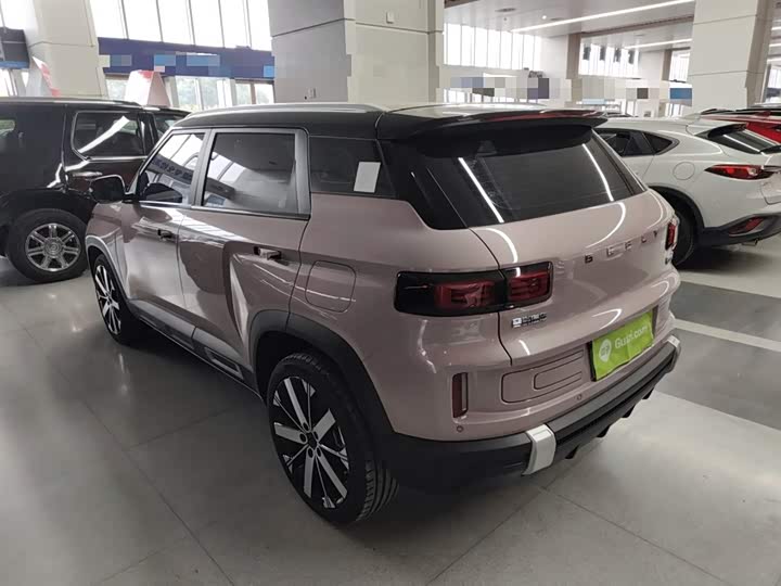 Фото 5 - Geely Icon