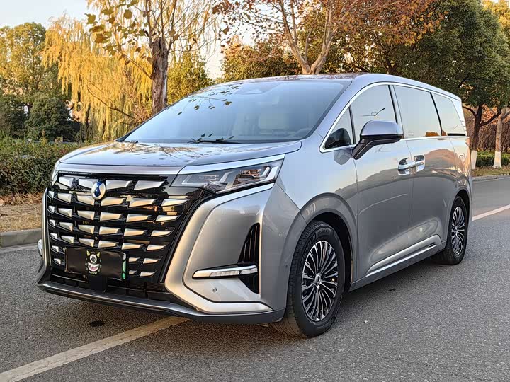 Фото 1 - Denza D9