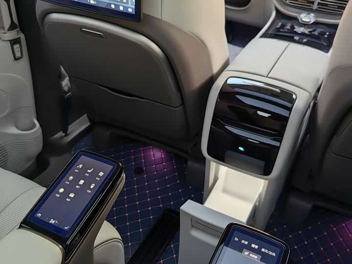 Фото 15 - Denza D9