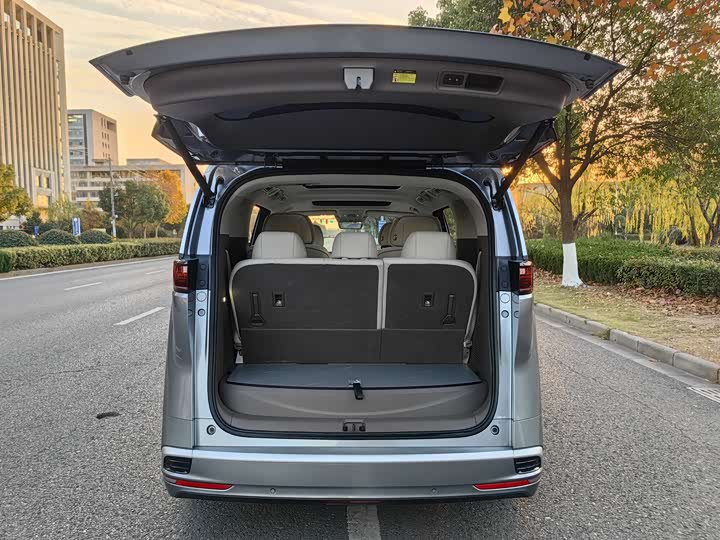 Фото 17 - Denza D9