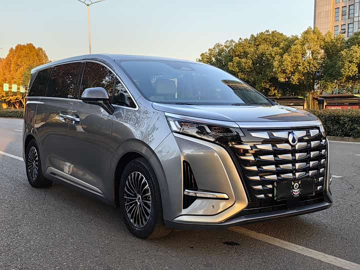 Фото 3 - Denza D9