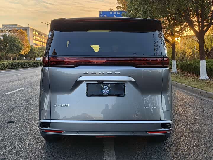 Фото 5 - Denza D9