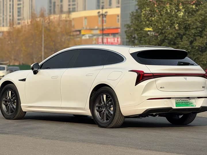 Фото 9 - Hozon S Hunting