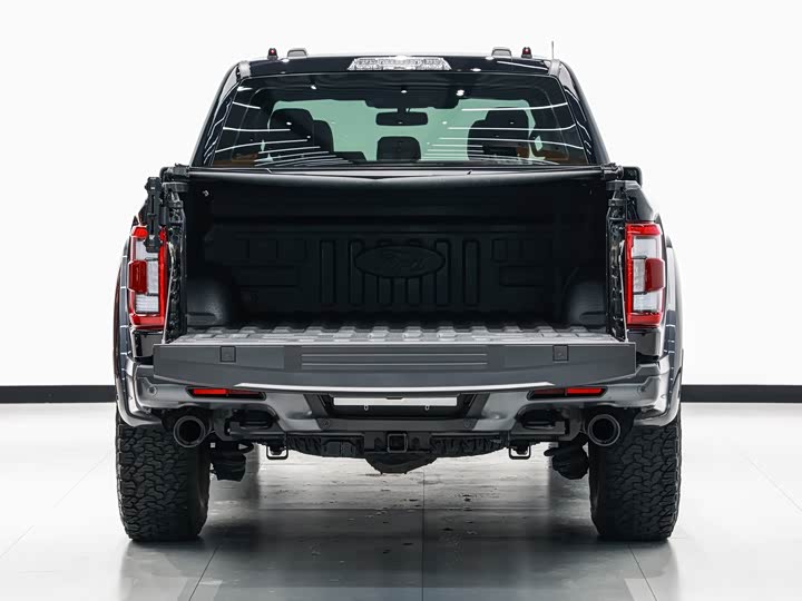 Фото 12 - Ford F-150 Raptor