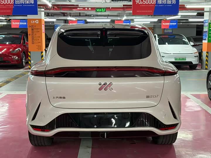 Фото 9 - IM motors LS7