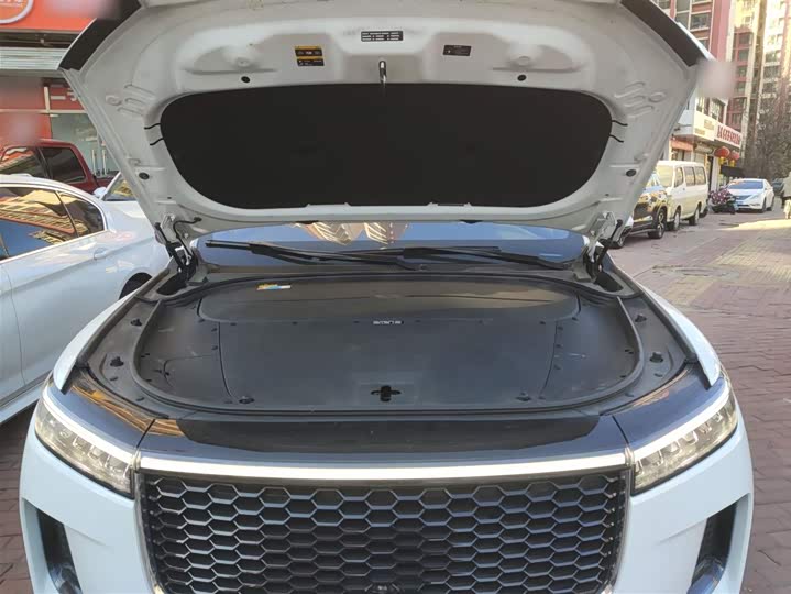 Фото 20 - LiXiang One