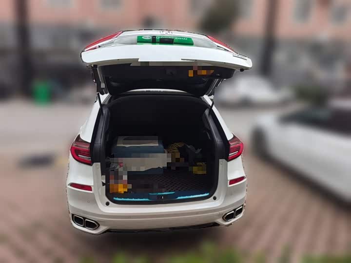 Фото 10 - Honda Avancier