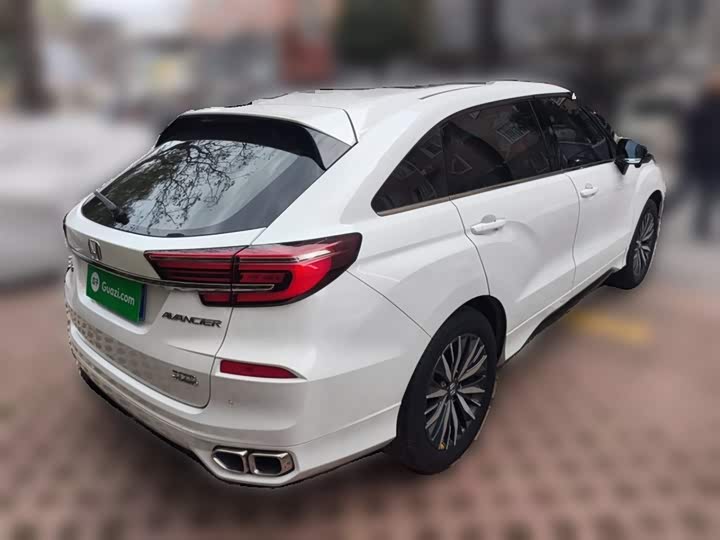 Фото 29 - Honda Avancier