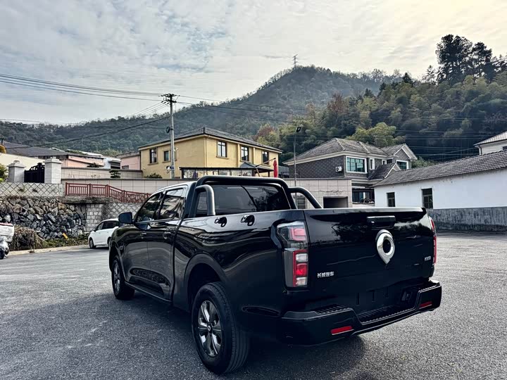 Фото 6 - Great Wall Pao