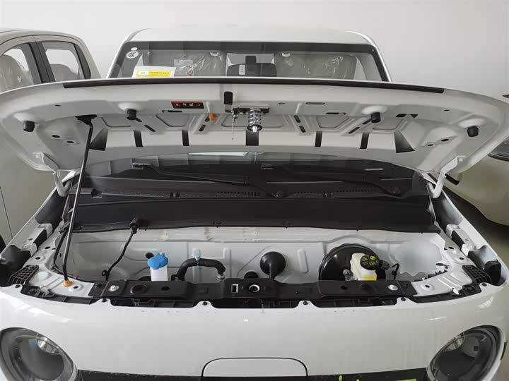 Фото 20 - Geely Galaxy Panda Mini