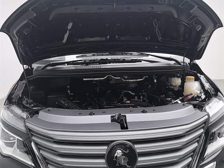 Фото 6 - Dongfeng Forthing Lingzhi M5