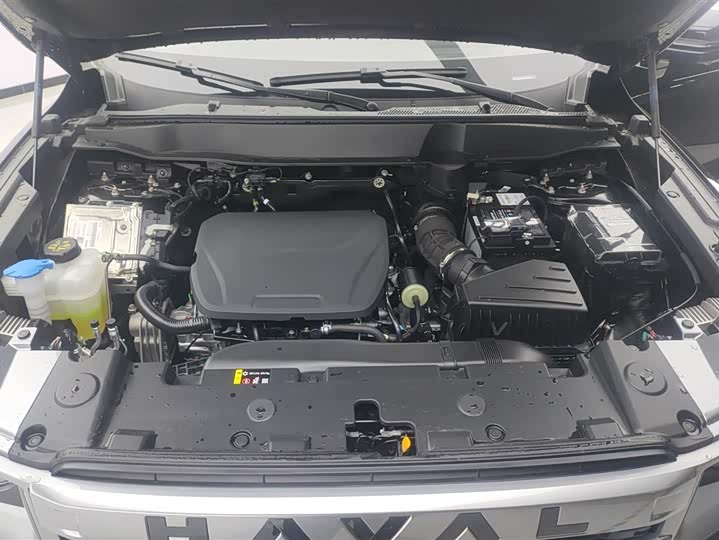 Фото 10 - Haval Dargo