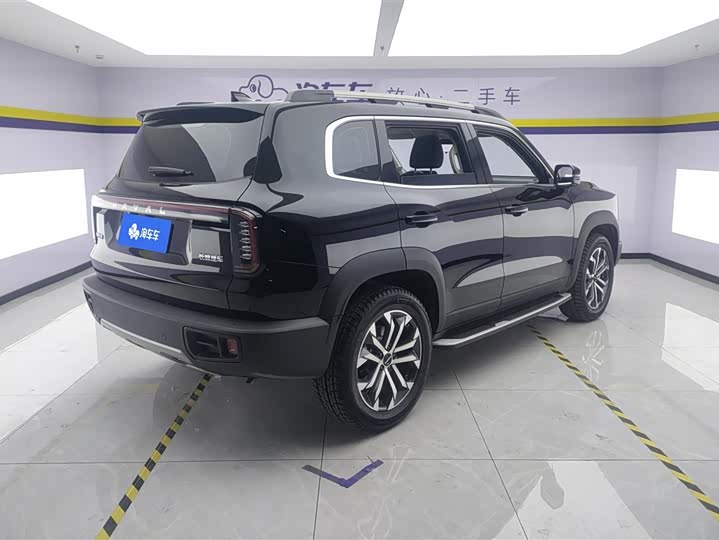 Фото 3 - Haval Dargo