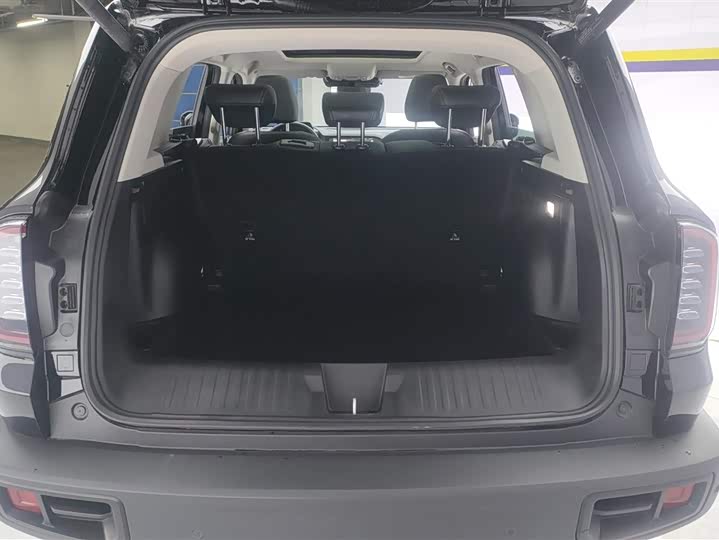 Фото 4 - Haval Dargo