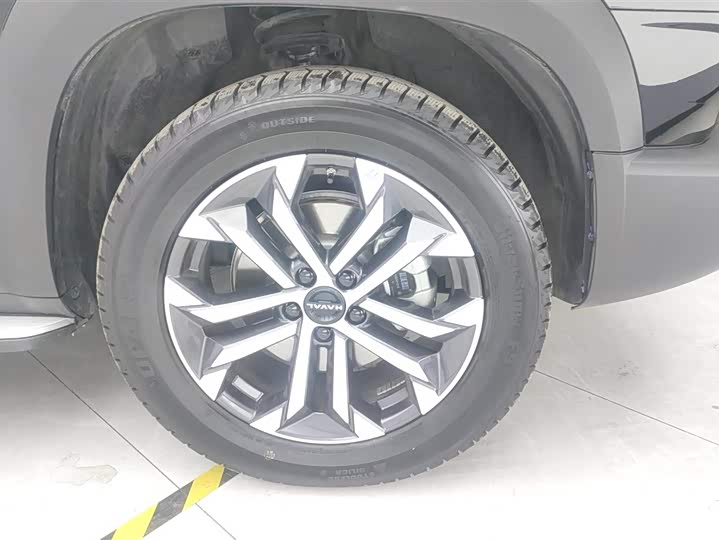 Фото 6 - Haval Dargo