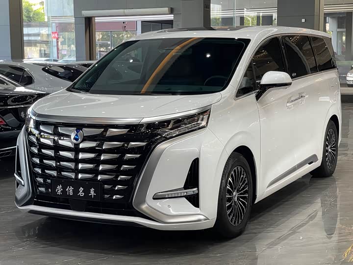 Фото 1 - Denza D9