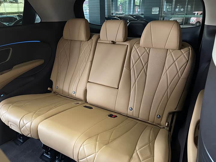 Фото 10 - Denza D9