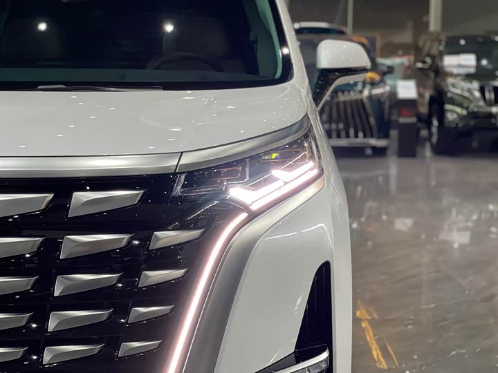 Фото 12 - Denza D9