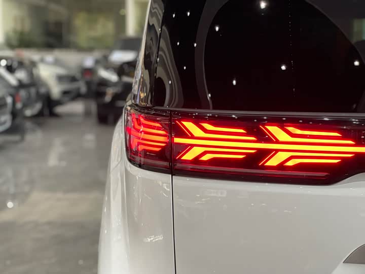 Фото 13 - Denza D9